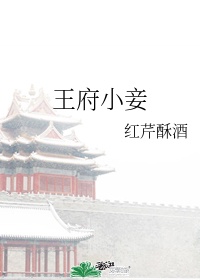 王府小妾结局